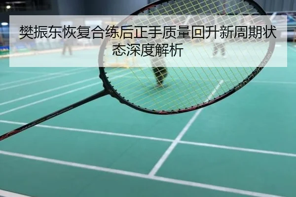 樊振东恢复合练后正手质量回升新周期状态深度解析